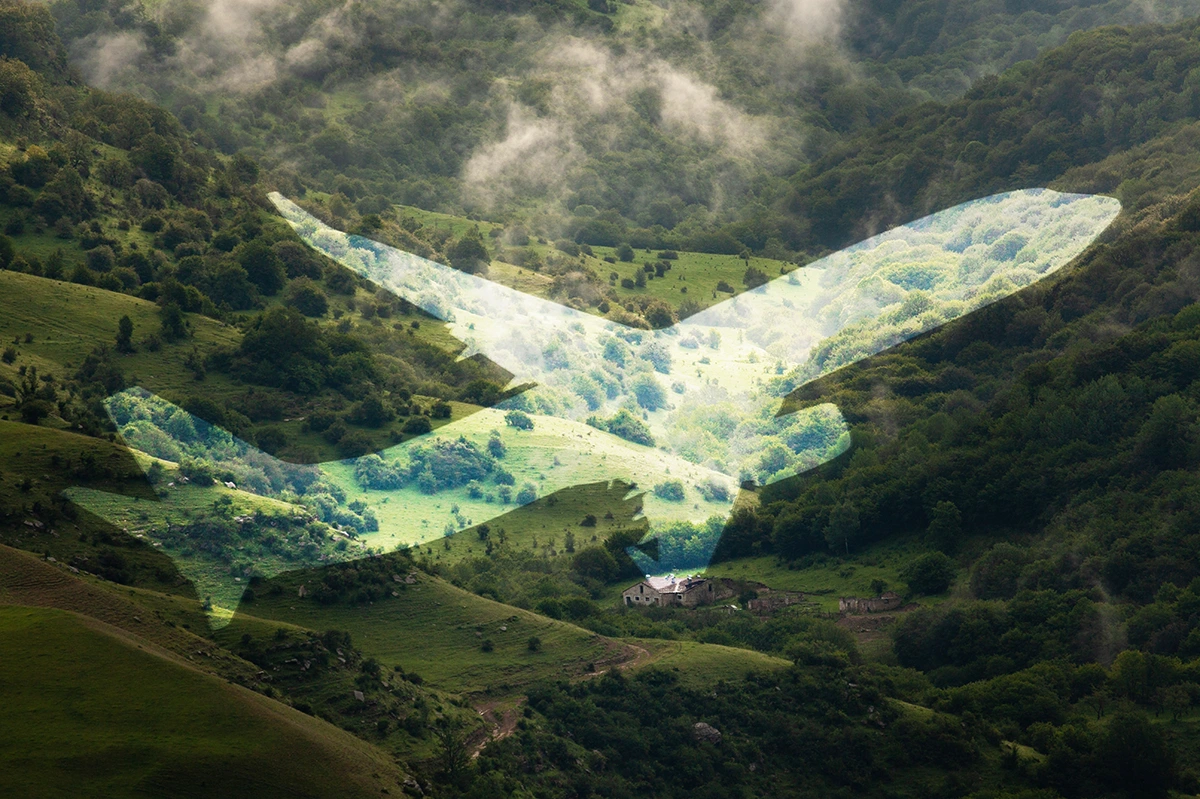 Importance de l'éco-responsabilité dans le contexte professionnel - article blog - INNOV'events